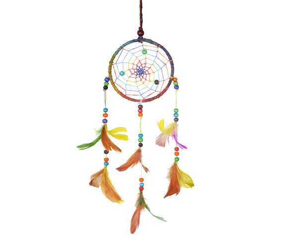 Multicolored Feathers Wall Hanging Dream Catcher.